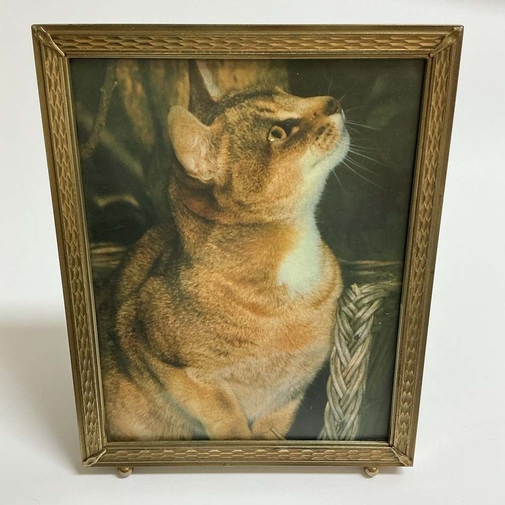 Vintage Gold Metal Picture Frame 8x10 Cat Print Standing Easel Ball Feet 60s MCM